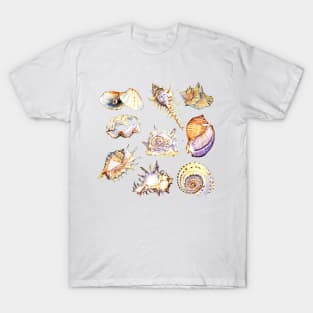 shell set watercolor illustration T-Shirt